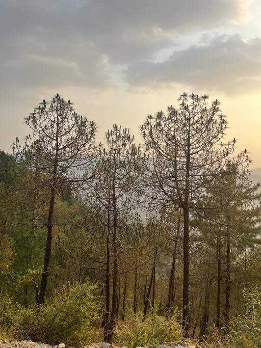Residence Inn Homestay Shimla Exterior foto