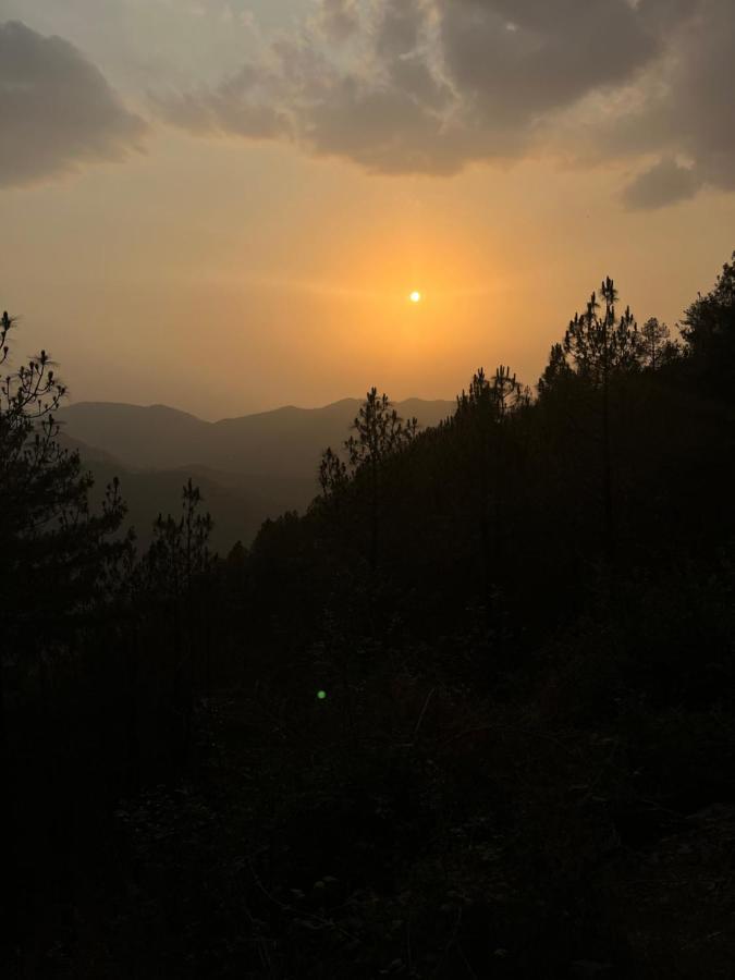 Residence Inn Homestay Shimla Exterior foto